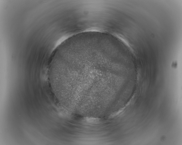 X0000090721258200708171919