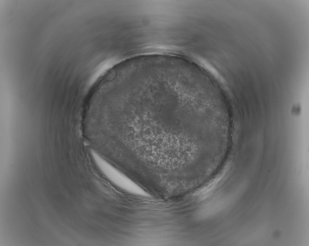 X0000090721259200708171919