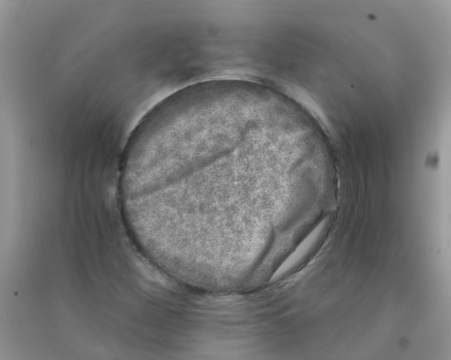 X0000090721260200708171919