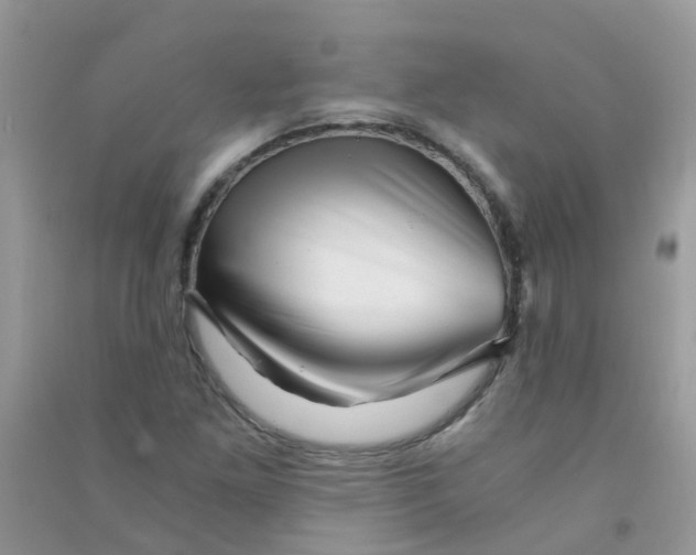 X0000090721261200708171919