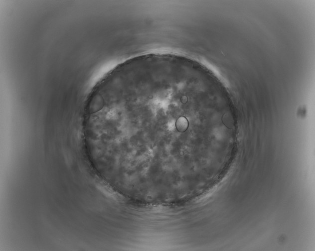 X0000090721263200708171919