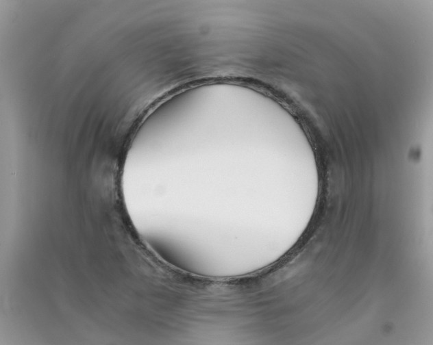 X0000090721265200708171919