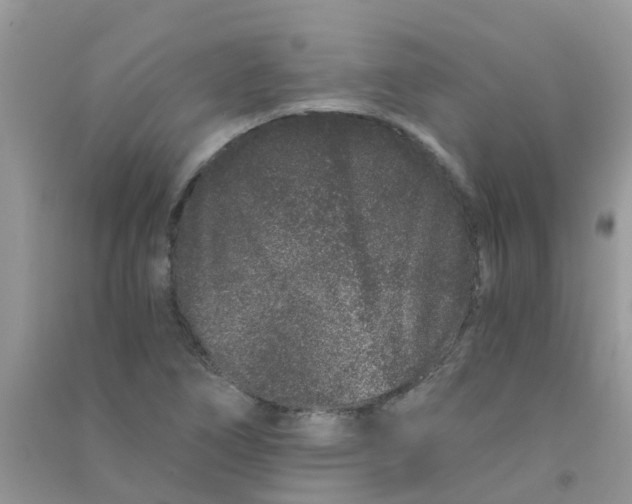 X0000090721266200708171919