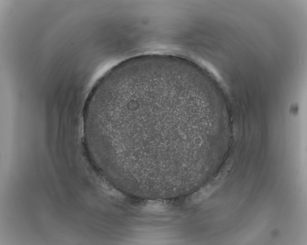 X0000090721267200708171919