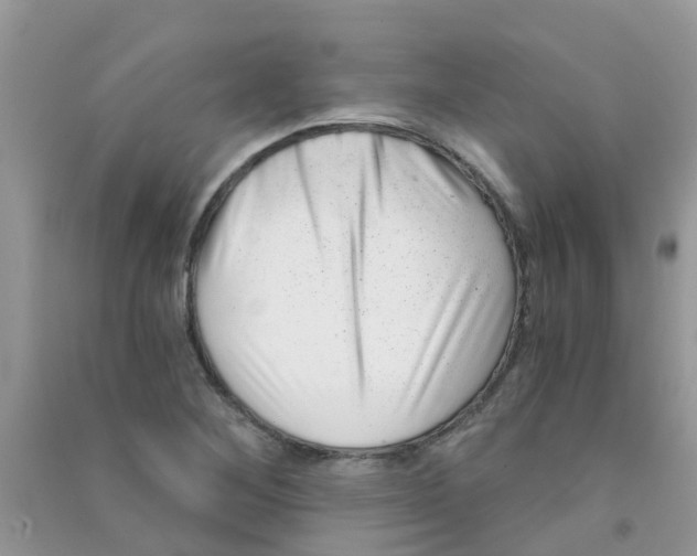 X0000090721268200708171919