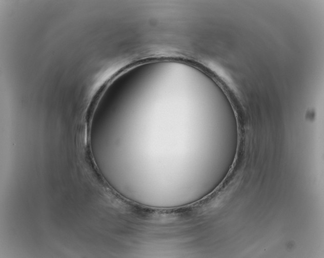 X0000090721269200708171919