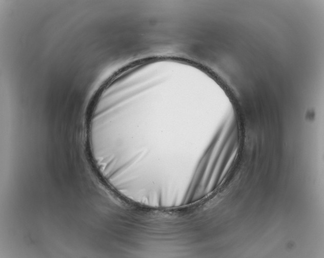 X0000090721270200708171919