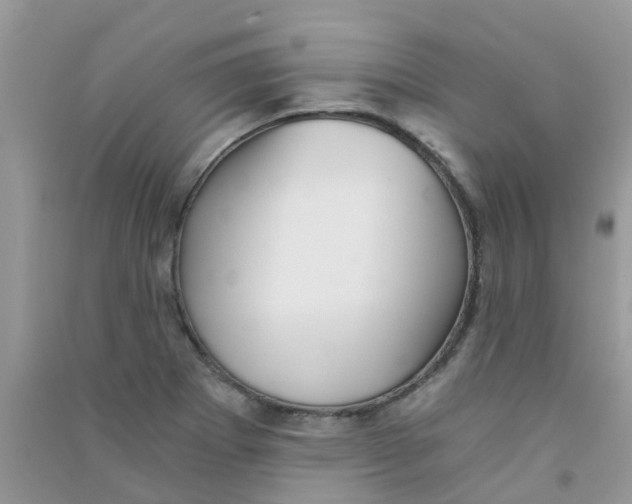 X0000090721273200708171919