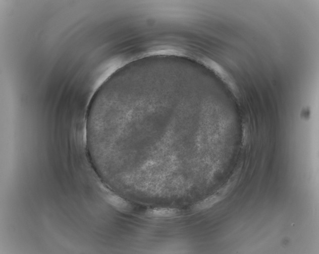 X0000090721274200708171919