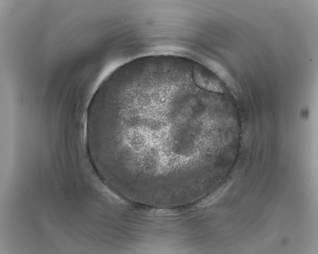 X0000090721275200708171919