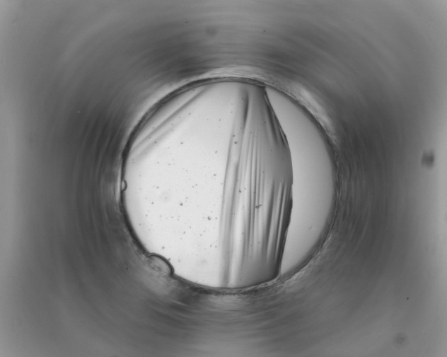 X0000090721276200708171919