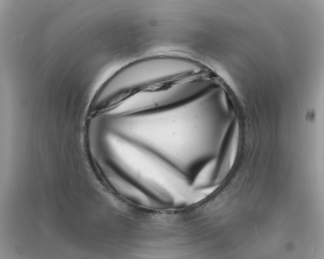 X0000090721277200708171919