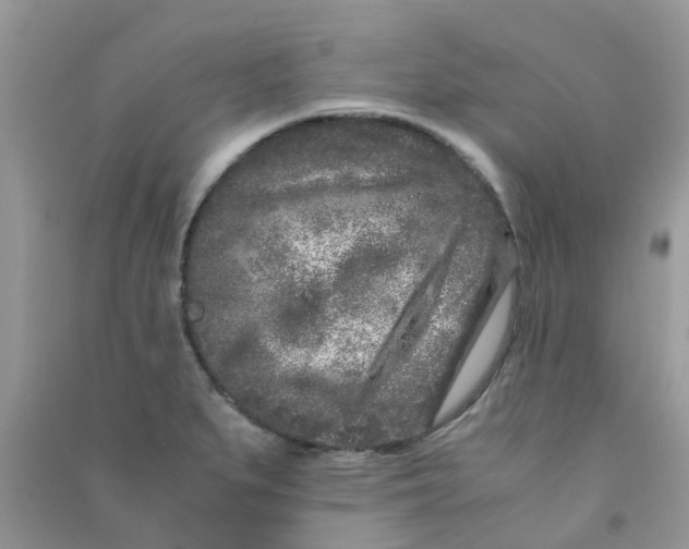 X0000090721279200708171919