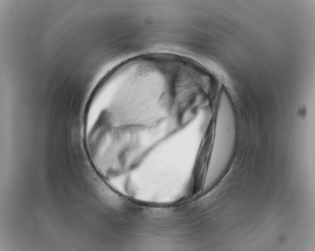 X0000090721280200708171919