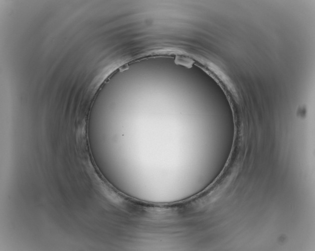 X0000090721281200708171919