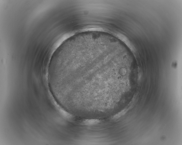 X0000090721282200708171919