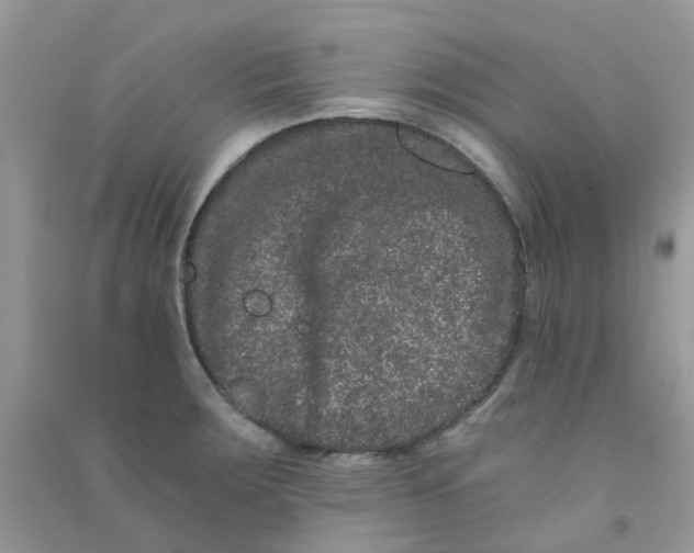 X0000090721283200708171919