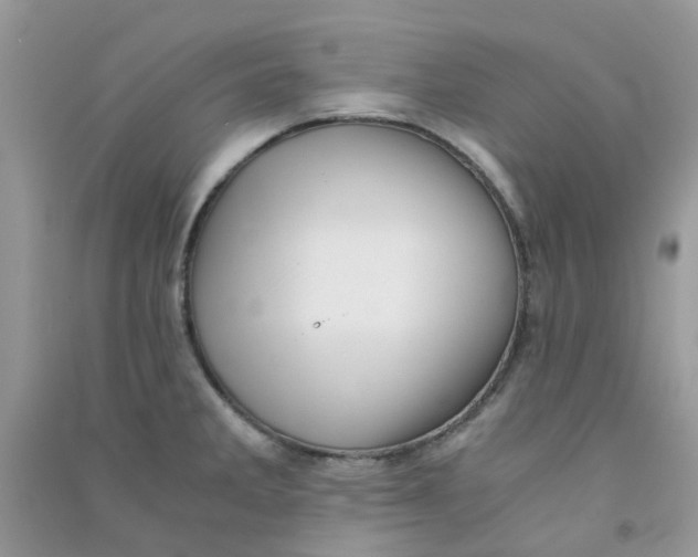 X0000090721285200708171919