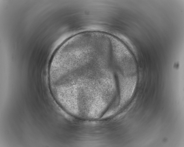 X0000090721286200708171919