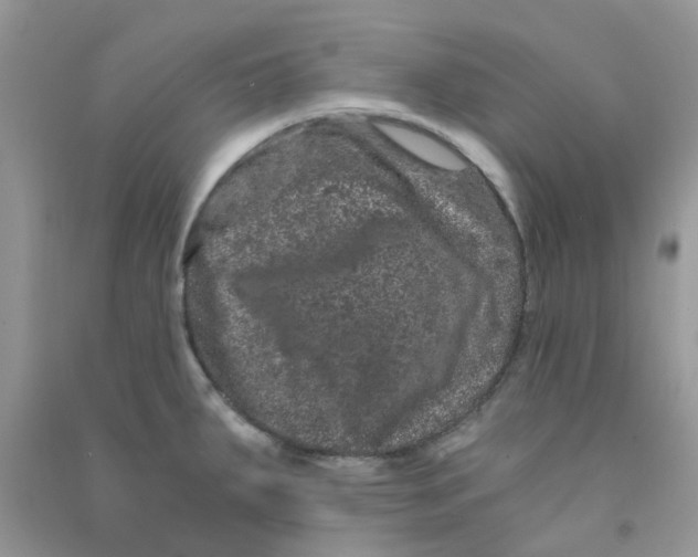 X0000090721287200708171919