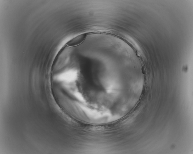 X0000090721291200708171919