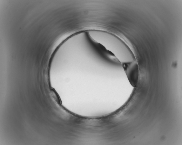 X0000090721293200708171919