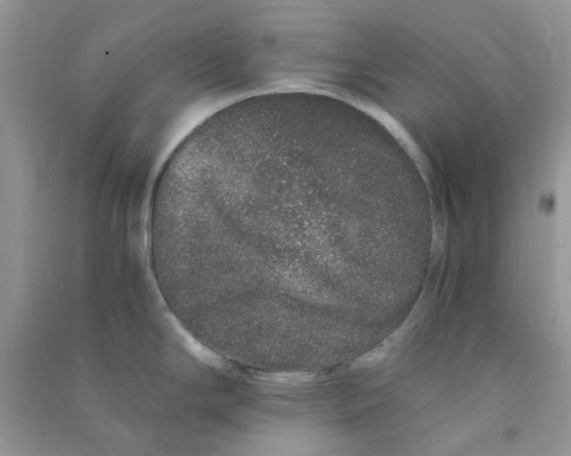 X0000090721294200708171919