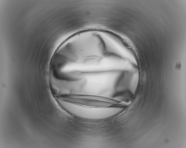 X0000090721295200708171919