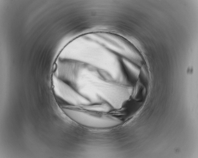 X0000090721296200708171919