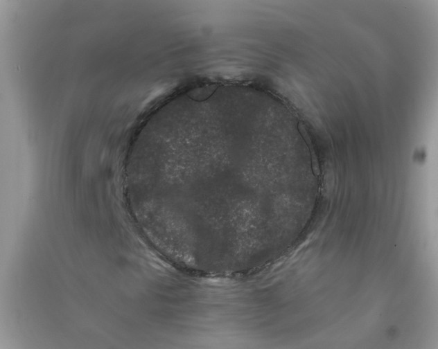 X0000090721297200708171918