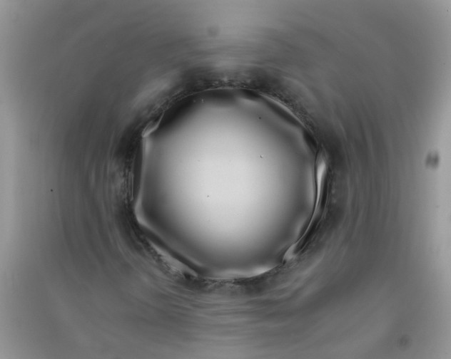 X0000090721298200708171918