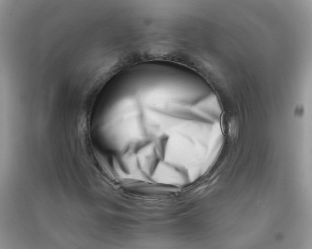 X0000090721299200708171918