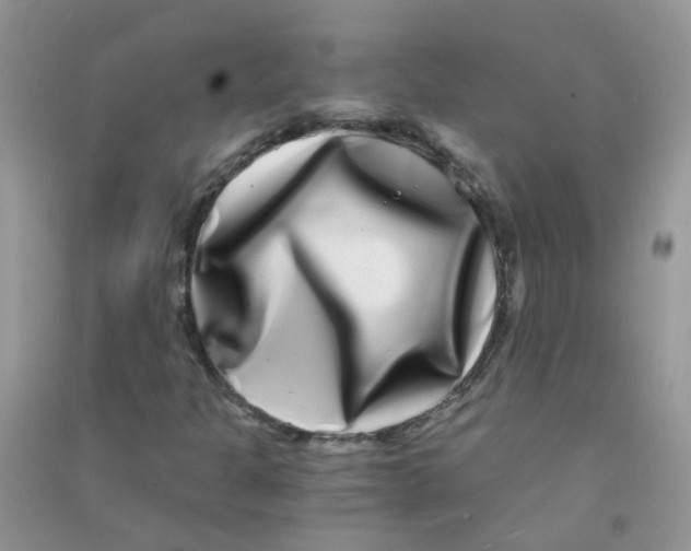 X0000090721301200708171918