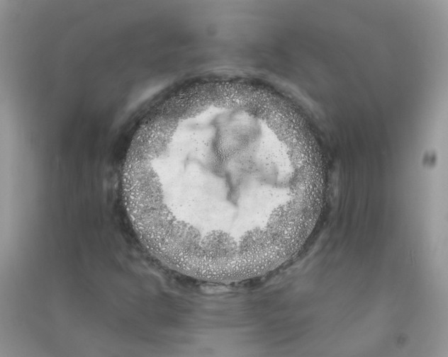 X0000090721302200708171918