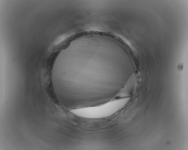 X0000090721303200708171918