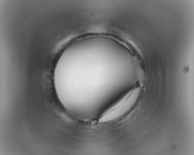 X0000090721304200708171918