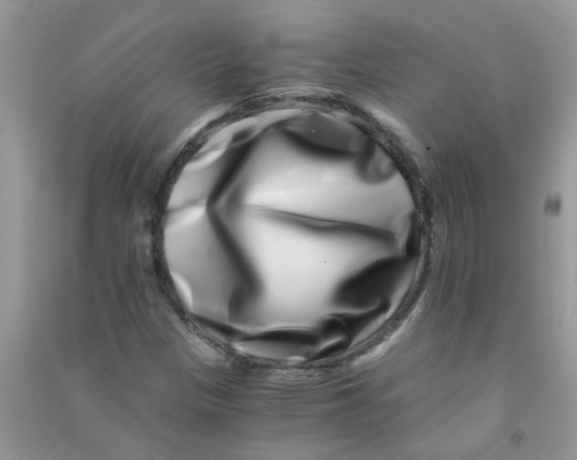 X0000090721305200708171918