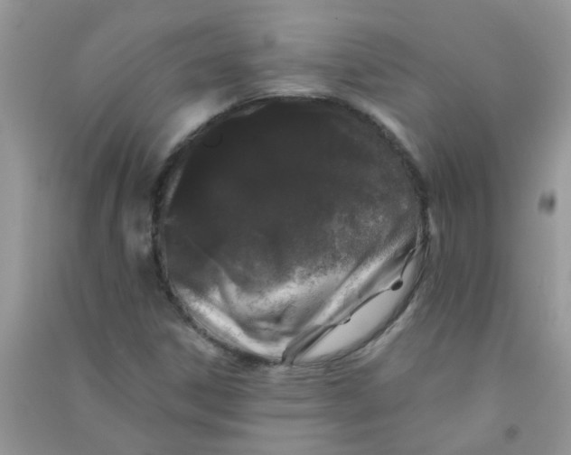 X0000090721306200708171918