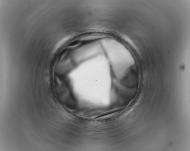 X0000090721307200708171918