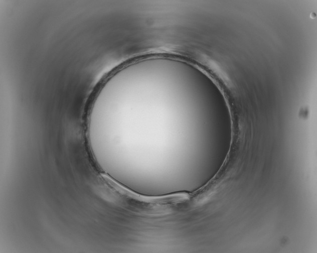 X0000090721308200708171918