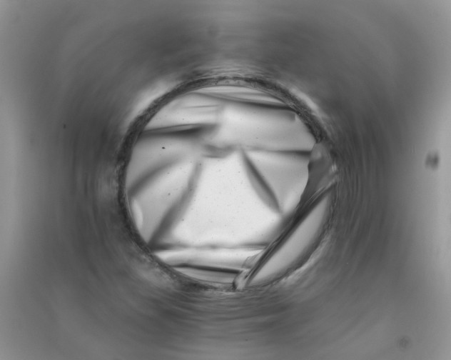 X0000090721309200708171918