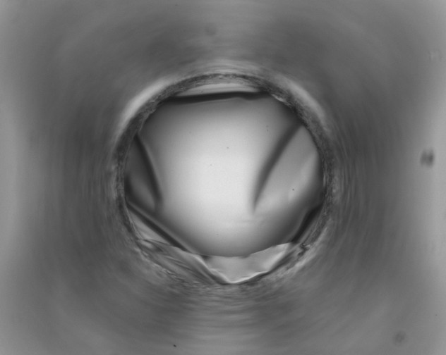 X0000090721310200708171918