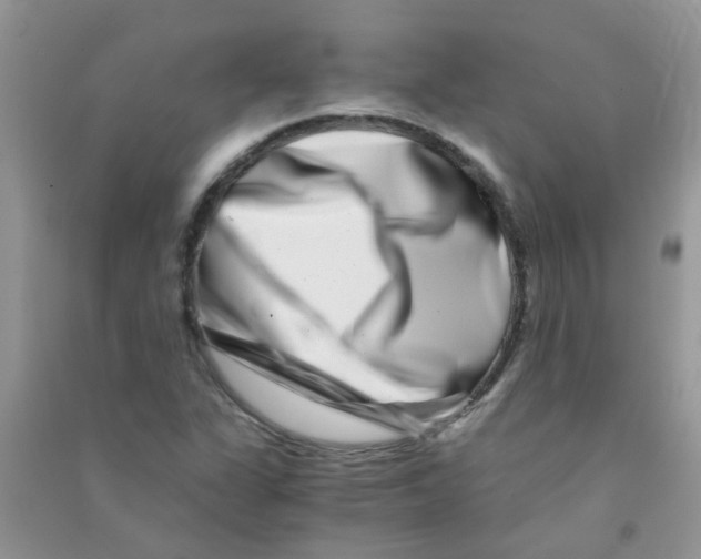 X0000090721311200708171918