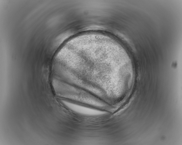 X0000090721313200708171918