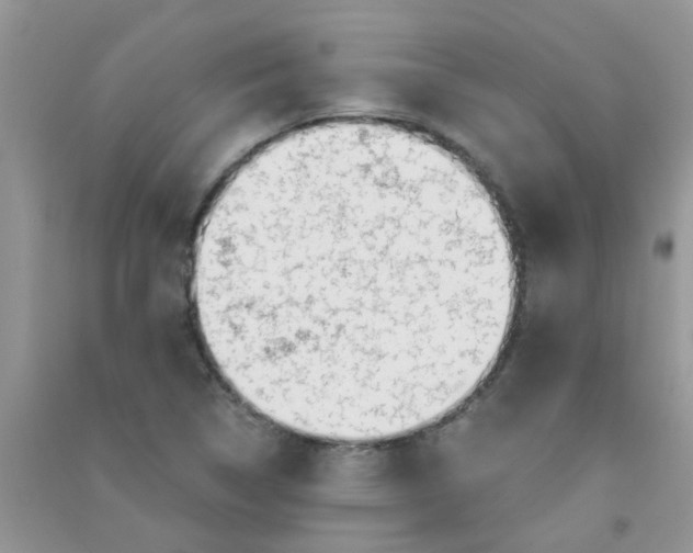 X0000090721314200708171918