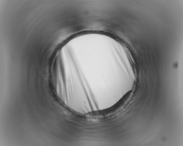 X0000090721315200708171918