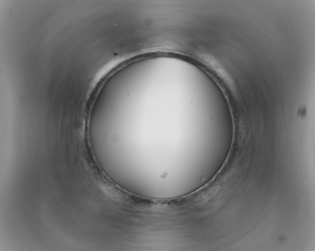 X0000090721316200708171918