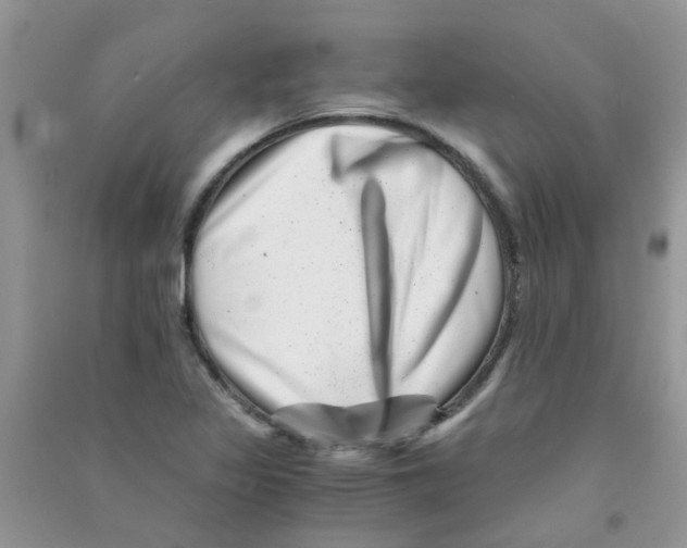 X0000090721317200708171918