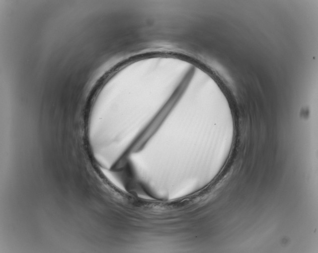 X0000090721318200708171918