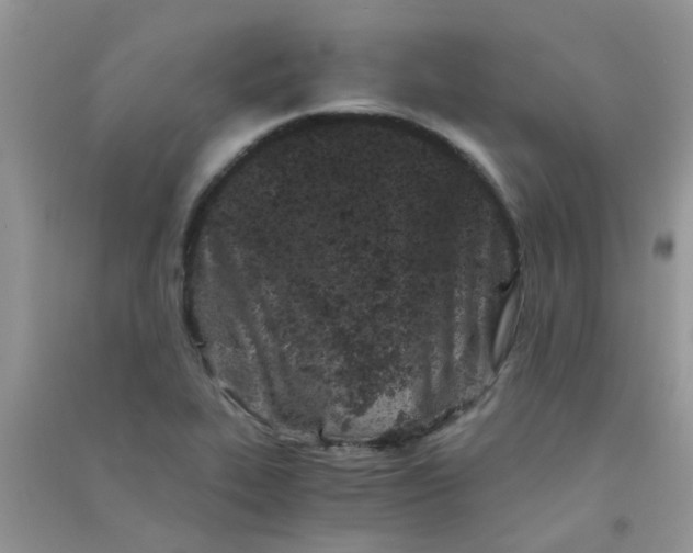 X0000090721319200708171918